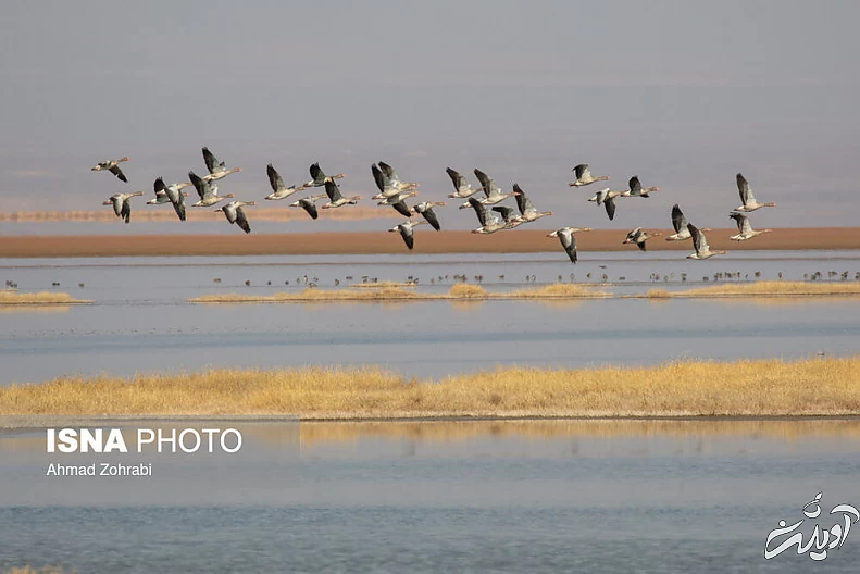 (تصاویر) طبیعت گردشگری قم